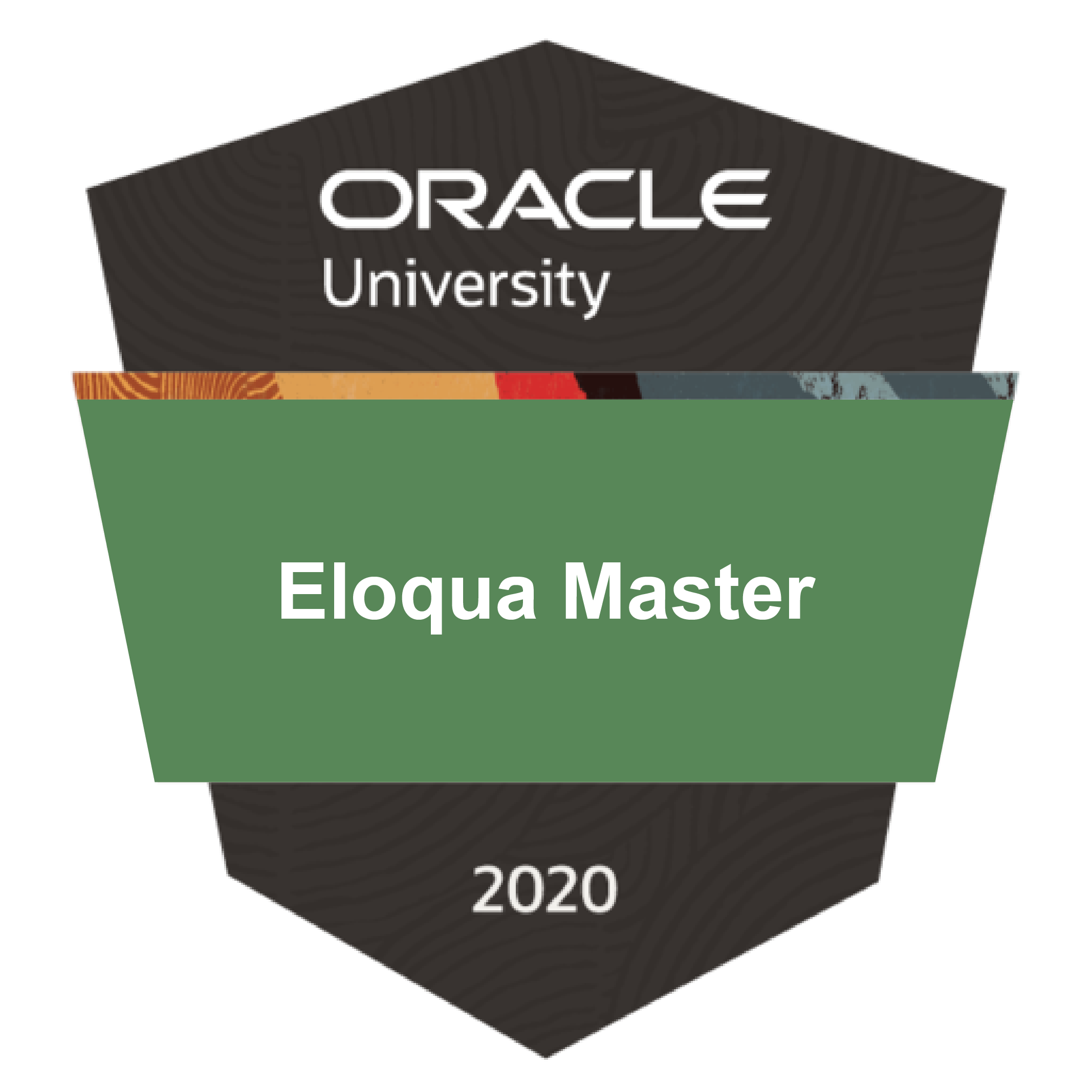 Eloqua_Master_Badge-01
